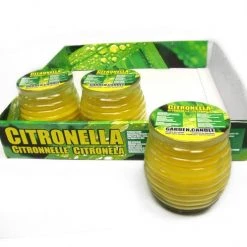 TDC USA INC Spring & Summer Citronella Garden Candle In Glass Jar