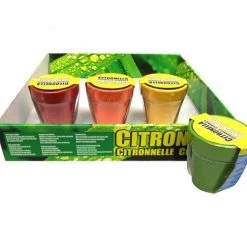 TDC USA INC Citronella Garden Candle In Terrocotta Pot