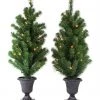 TDC USA INC Holidays Pre-Lit 3' Potted Trees With Clear Lights (Set Of 2)