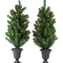 TDC USA INC Holidays Pre-Lit 3' Potted Trees With Clear Lights (Set Of 2)