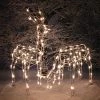 TDC USA INC Lighted Reindeer Set [buck & Doe]
